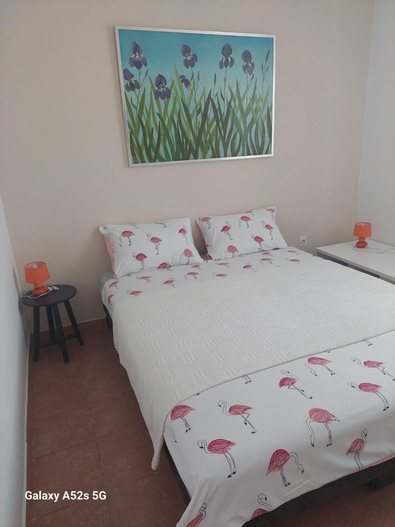 Apartments Pimpinella Premantura Dış mekan fotoğraf