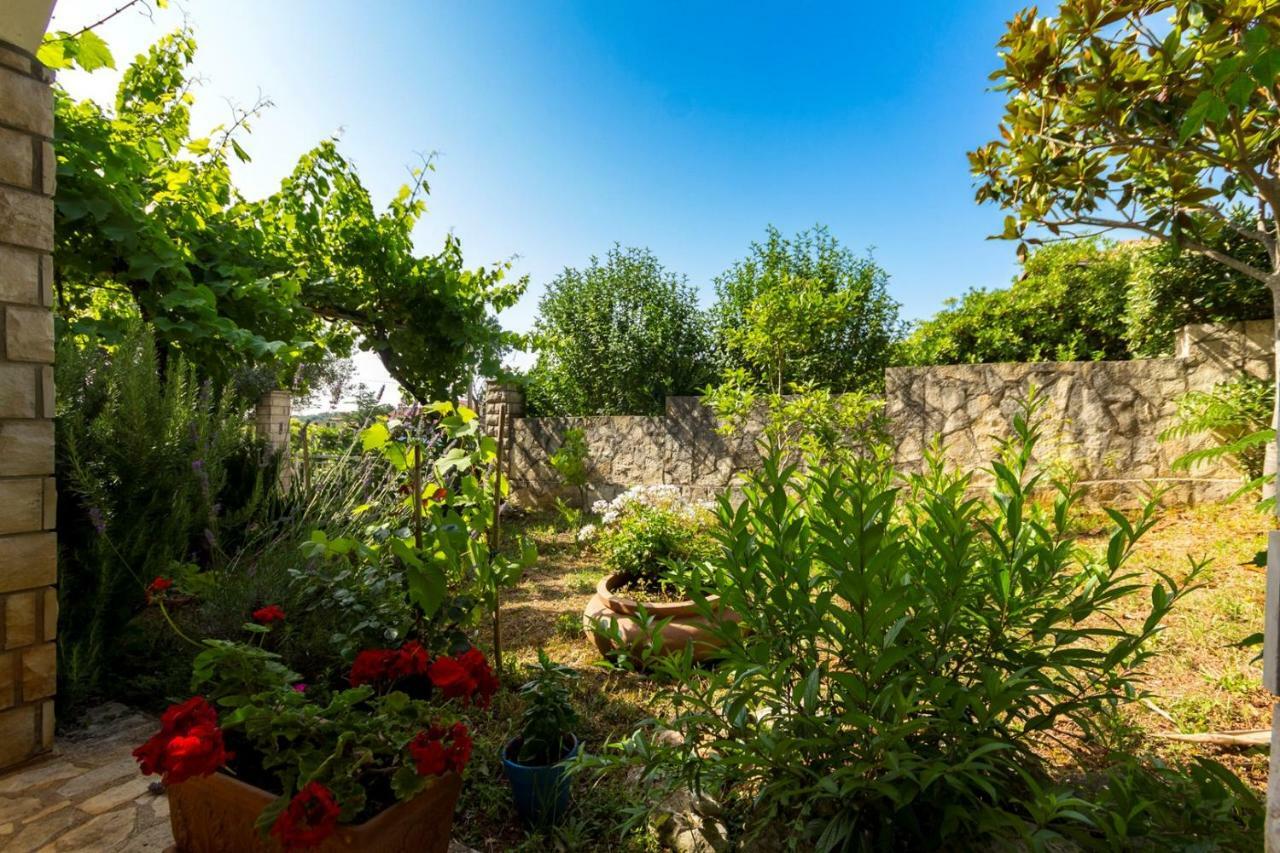 Apartments Pimpinella Premantura Dış mekan fotoğraf